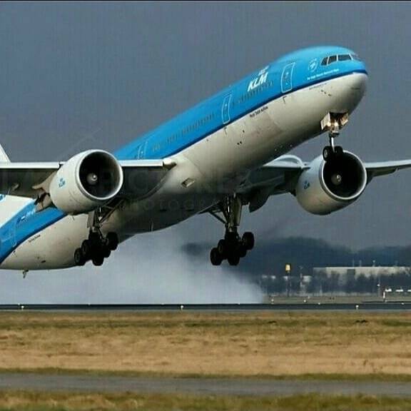 جرسی از هلند